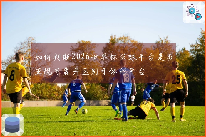 如何判断2026世界杯买球平台是否正规可靠并区别于体彩平台