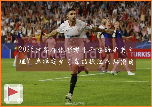 2026世界杯体彩哪个平台赔率更合理？选择安全可靠的投注网站指南