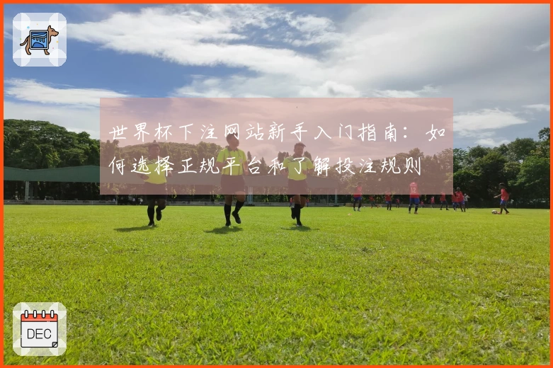世界杯下注网站新手入门指南：如何选择正规平台和了解投注规则